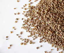 Celery Seed