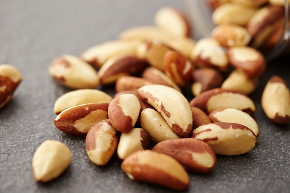 shutterstock_792943021_913029a0-276c-42eb-ac8c-081caef8e1ca